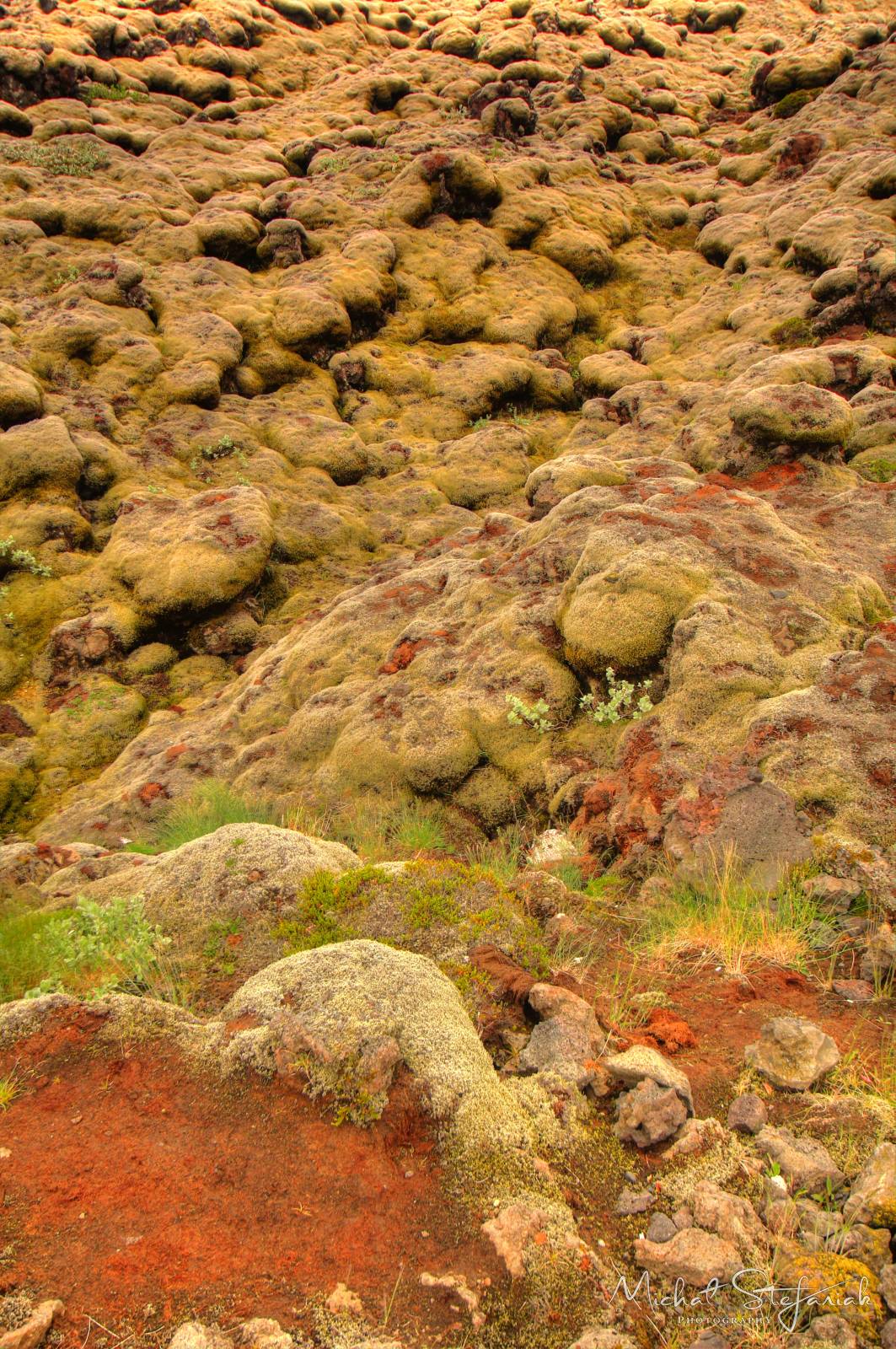 489 IMG 4271 2 3Enhancer